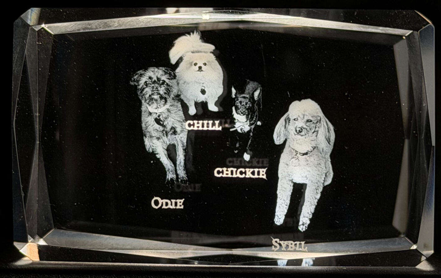 Dogs - 2" x 3" Crystal Dogs - 2" x 3" Crystal